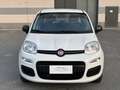 Fiat Panda PANDA 1.2 BENZINA LOUNGE 5 POSTI NEOPATENTATI Blanc - thumbnail 6