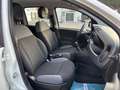 Fiat Panda PANDA 1.2 BENZINA LOUNGE 5 POSTI NEOPATENTATI Blanc - thumbnail 11