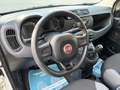 Fiat Panda PANDA 1.2 BENZINA LOUNGE 5 POSTI NEOPATENTATI Blanc - thumbnail 7