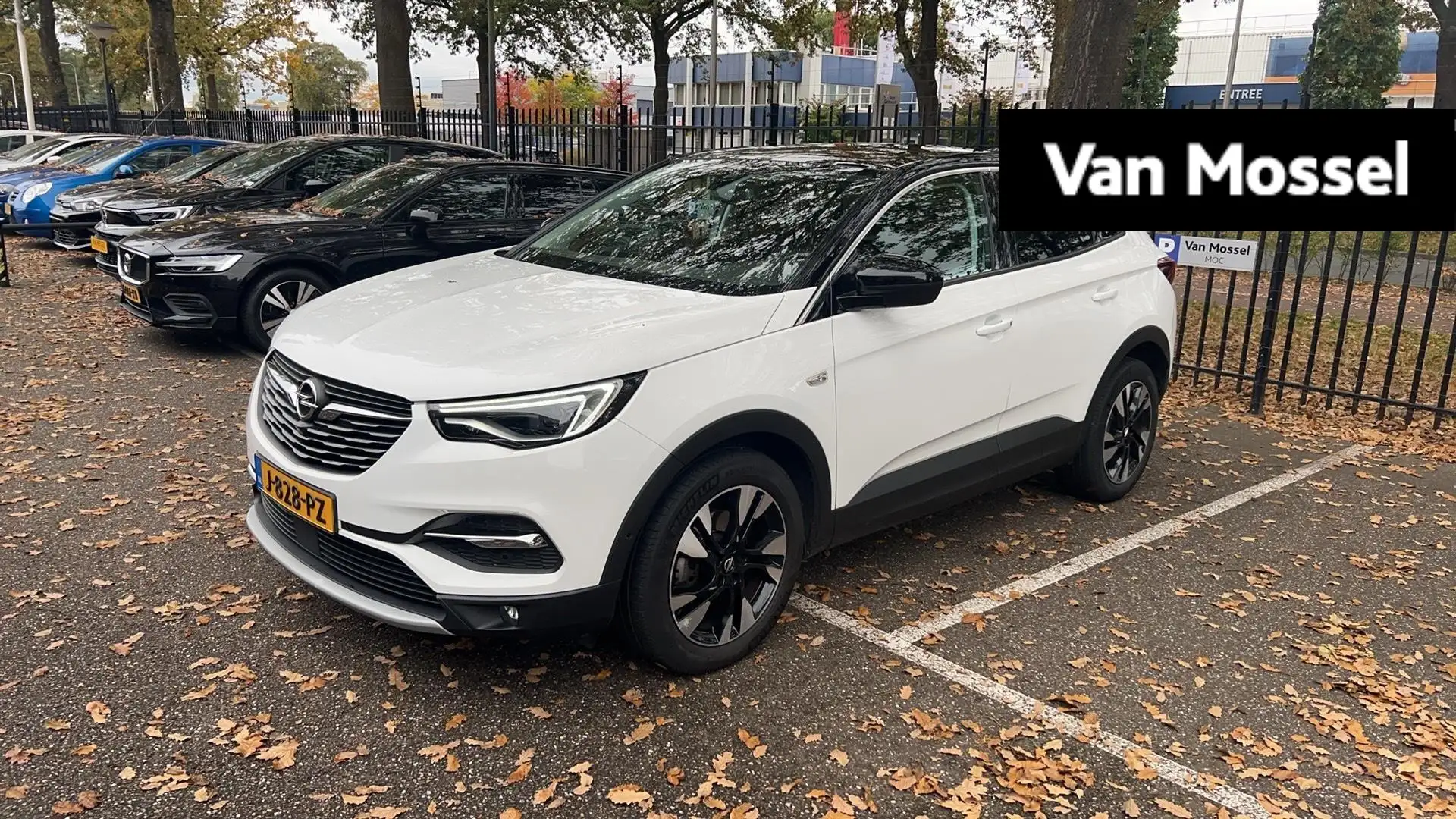 Opel Grandland X 1.2 Turbo Innovation | cruise control | Apple Carp Blanc - 1