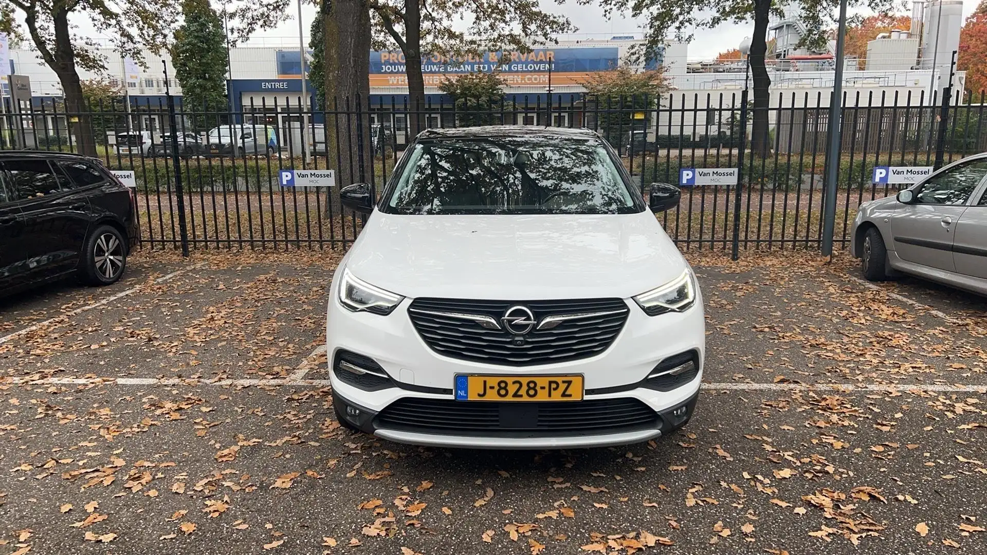 Opel Grandland X 1.2 Turbo Innovation | cruise control | Apple Carp Blanc - 2
