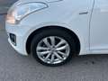 Suzuki Swift Swift 5p 1.3 ddis B-Easy Blanc - thumbnail 6