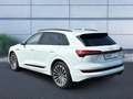 Audi e-tron 50 S-line quattro 230 kW Weiß - thumbnail 3