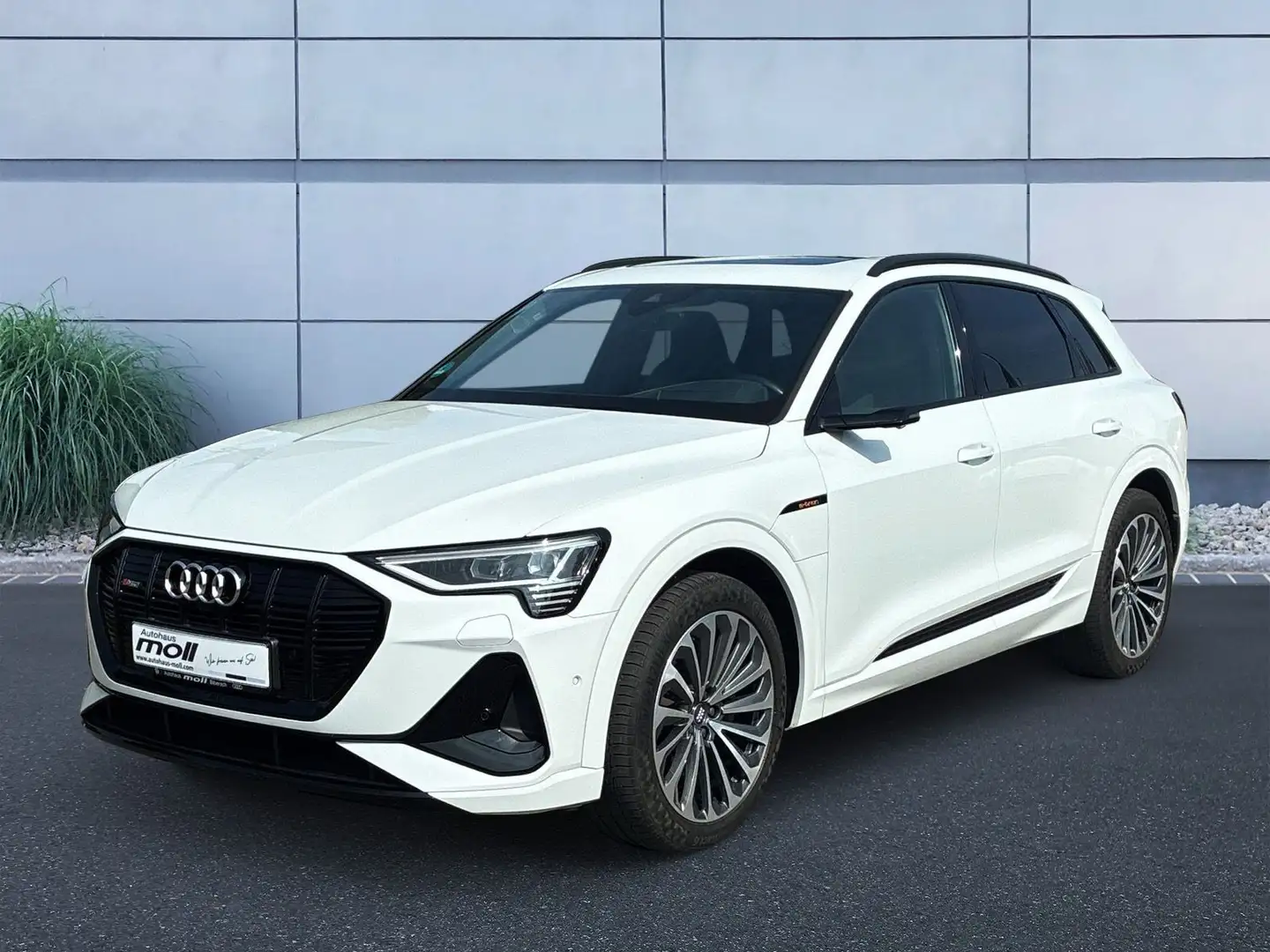 Audi e-tron 50 S-line quattro 230 kW Weiß - 1