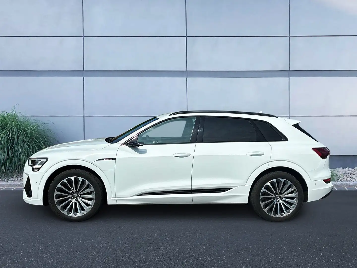 Audi e-tron 50 S-line quattro 230 kW Weiß - 2