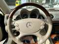 Mercedes-Benz SL 600 Roadster Aut. Yeşil - thumbnail 3