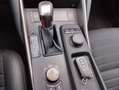 Lexus IS 300 300h Business Сірий - thumbnail 12