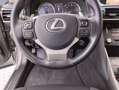 Lexus IS 300 300h Business Сірий - thumbnail 11