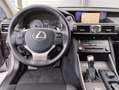 Lexus IS 300 300h Business Сірий - thumbnail 7