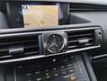 Lexus IS 300 300h Business Сірий - thumbnail 14