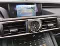 Lexus IS 300 300h Business Сірий - thumbnail 15