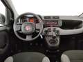 Fiat New Panda Panda 1.0 firefly hybrid City Cross s&s 70cv 5p.ti Nero - thumbnail 9