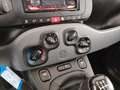 Fiat New Panda Panda 1.0 firefly hybrid City Cross s&s 70cv 5p.ti Nero - thumbnail 12