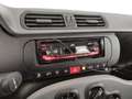 Fiat New Panda Panda 1.0 firefly hybrid City Cross s&s 70cv 5p.ti Nero - thumbnail 11