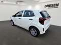 Kia Picanto Edition 7 1.0 NAVI,DAB,KAMERA,PDC Blanc - thumbnail 4