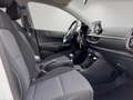 Kia Picanto Edition 7 1.0 NAVI,DAB,KAMERA,PDC Blanc - thumbnail 14