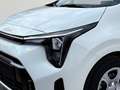 Kia Picanto Edition 7 1.0 NAVI,DAB,KAMERA,PDC Blanc - thumbnail 5