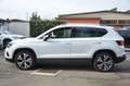 SEAT Ateca Ateca 1.6 tdi Xcellence Weiß - thumbnail 16