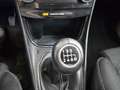 Ford Puma 1.0 EcoBoost MHEV Titanium 125 Beige - thumbnail 24