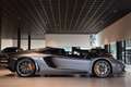 Lamborghini Aventador 6.5 V12 LP700-4 Roadster|Full Historie|New Service Gris - thumbnail 9