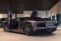 Lamborghini Aventador 6.5 V12 LP700-4 Roadster|Full Historie|New Service Gris - thumbnail 10