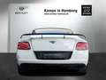 Bentley Continental GT3-R 1 of 300 Weiß - thumbnail 6