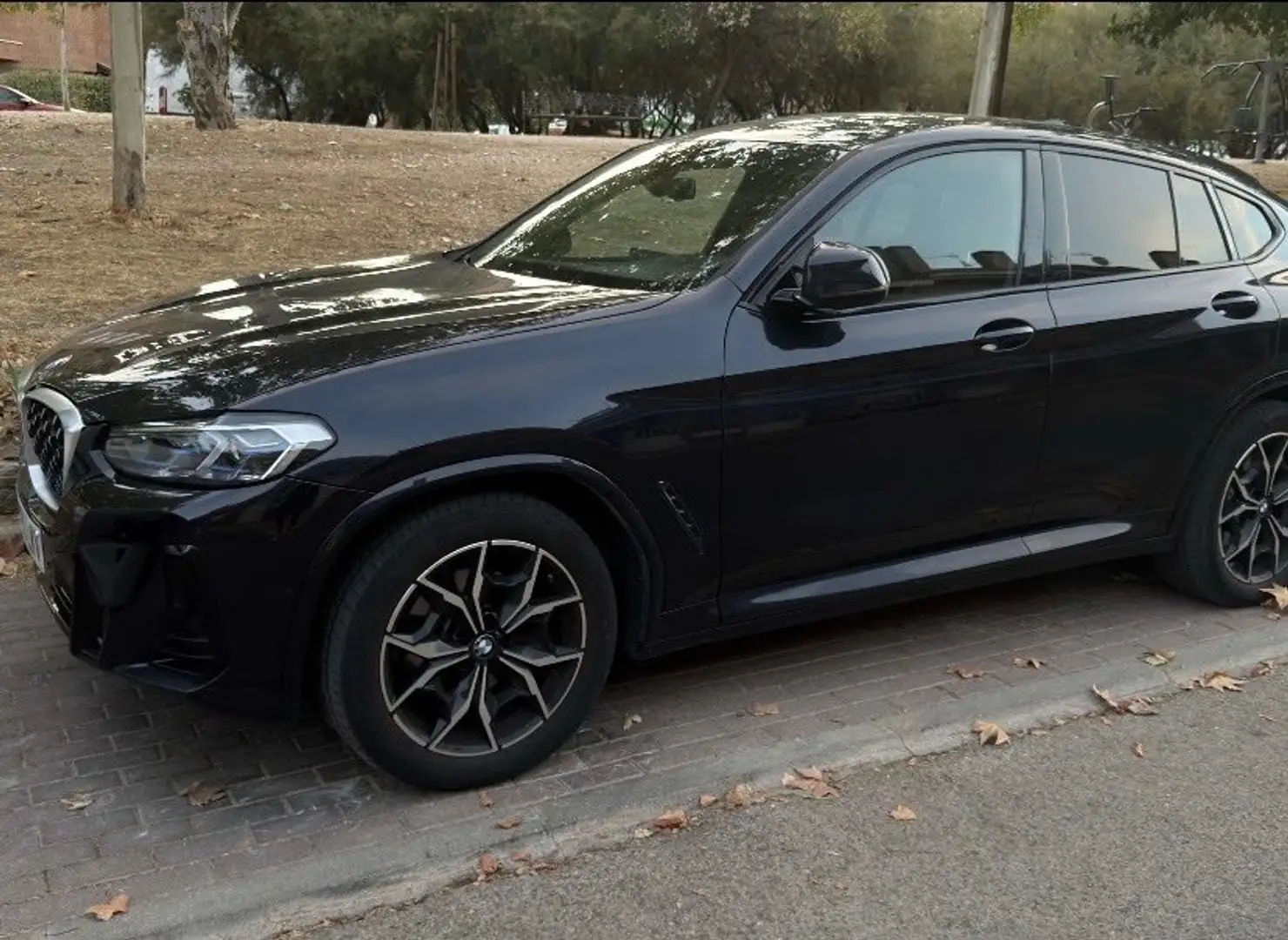 BMW X4 xDrive20d Business - 1