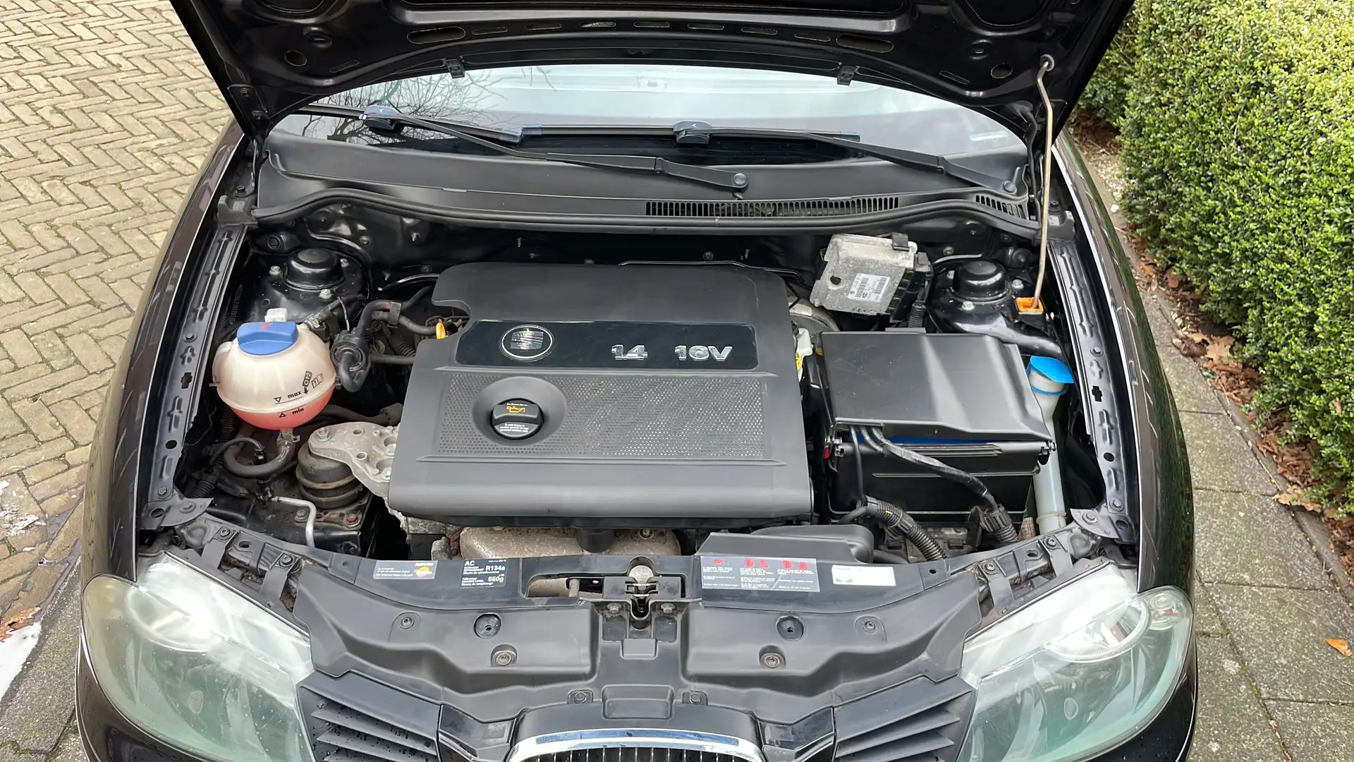 SEAT Cordoba 1.4 16V Signo Schwarz - 2