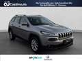 Jeep Cherokee 2.0 Mjt 4WD Active Drive 170Cv Grigio - thumbnail 7
