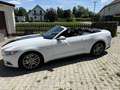 Ford Mustang Mustang Convertible 5.0 Ti-VCT V8 Aut. GT US Weiß - thumbnail 3