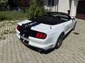 Ford Mustang Mustang Convertible 5.0 Ti-VCT V8 Aut. GT US Weiß - thumbnail 10