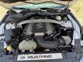 Ford Mustang Mustang Convertible 5.0 Ti-VCT V8 Aut. GT US Weiß - thumbnail 6