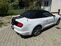 Ford Mustang Mustang Convertible 5.0 Ti-VCT V8 Aut. GT US Weiß - thumbnail 19