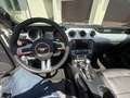 Ford Mustang Mustang Convertible 5.0 Ti-VCT V8 Aut. GT US Weiß - thumbnail 4
