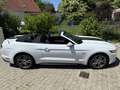 Ford Mustang Mustang Convertible 5.0 Ti-VCT V8 Aut. GT US Weiß - thumbnail 11