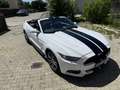 Ford Mustang Mustang Convertible 5.0 Ti-VCT V8 Aut. GT US Weiß - thumbnail 2