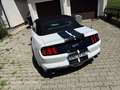 Ford Mustang Mustang Convertible 5.0 Ti-VCT V8 Aut. GT US Weiß - thumbnail 12