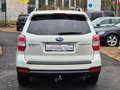 Subaru Forester Exclusive *Panoramadach *Xenon *Kamera Weiß - thumbnail 5