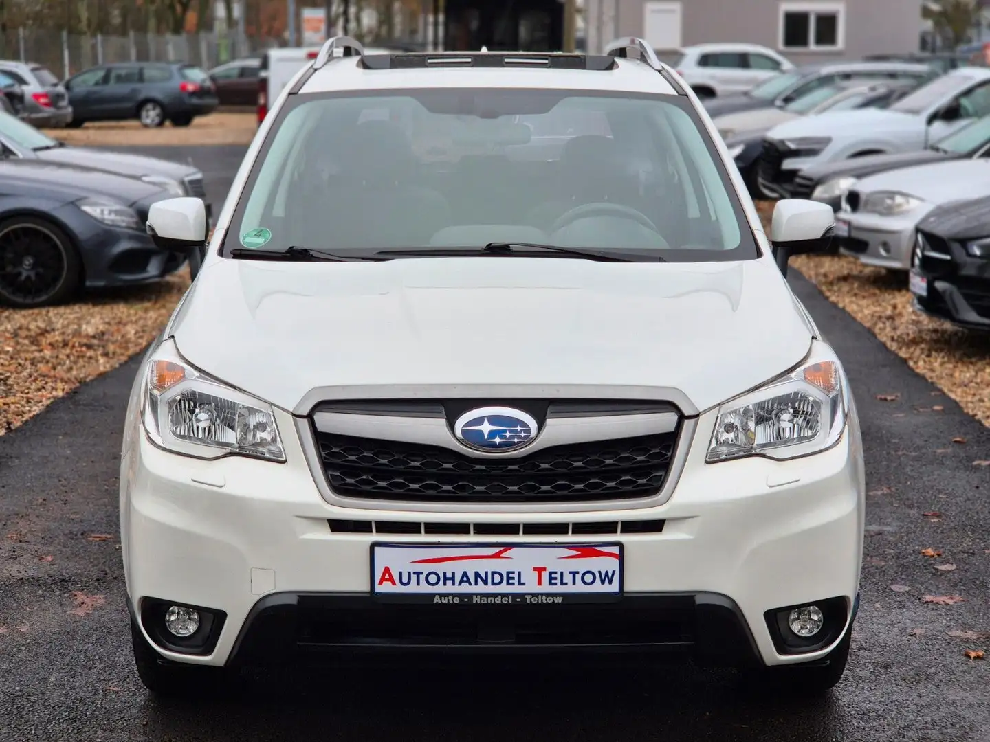 Subaru Forester Exclusive *Panoramadach *Xenon *Kamera Weiß - 2