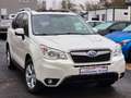 Subaru Forester Exclusive *Panoramadach *Xenon *Kamera Weiß - thumbnail 3