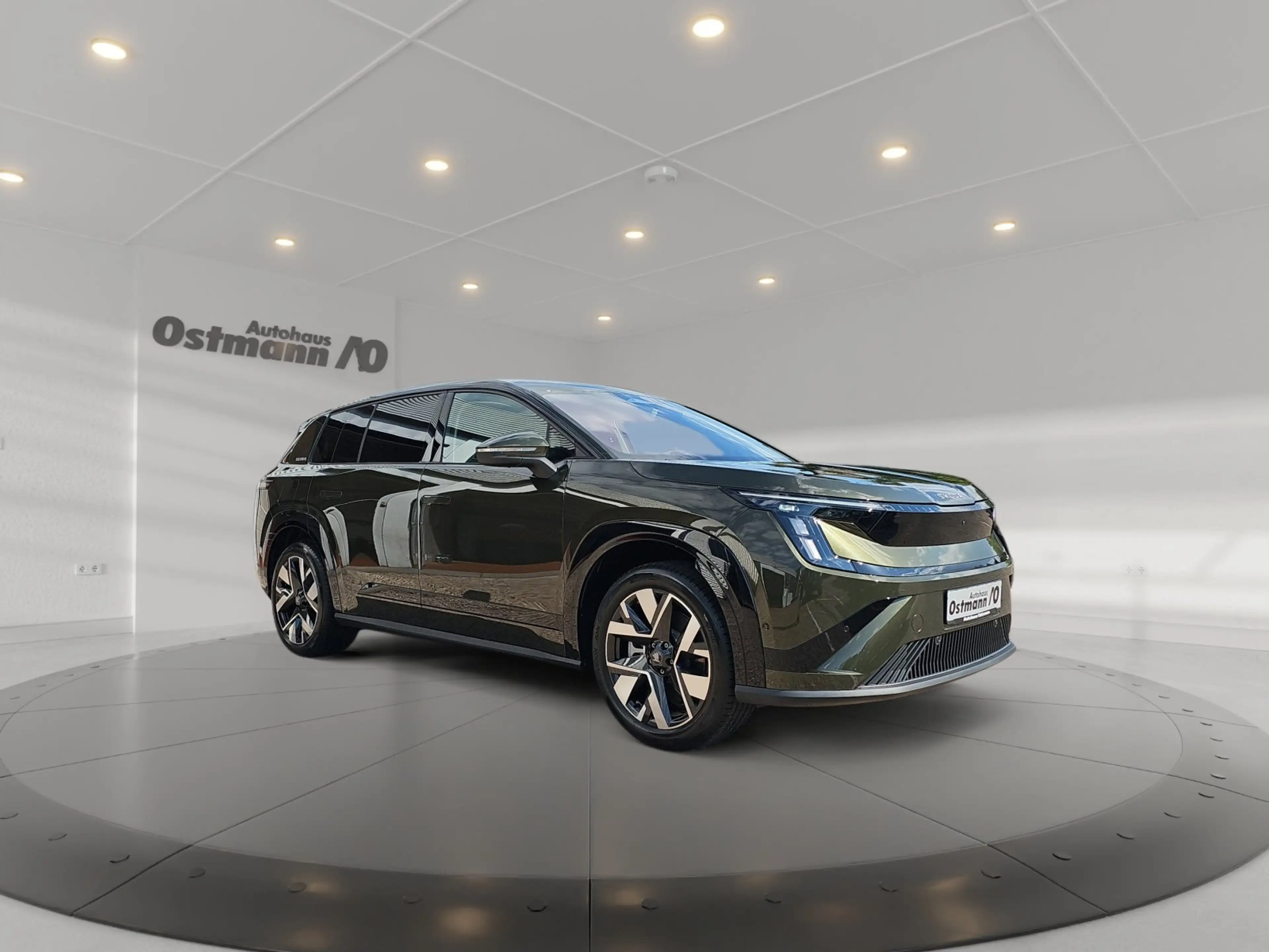 Skoda Peaq Selection 90 (91 kWh) AHK MATRIX 360° — photo 5