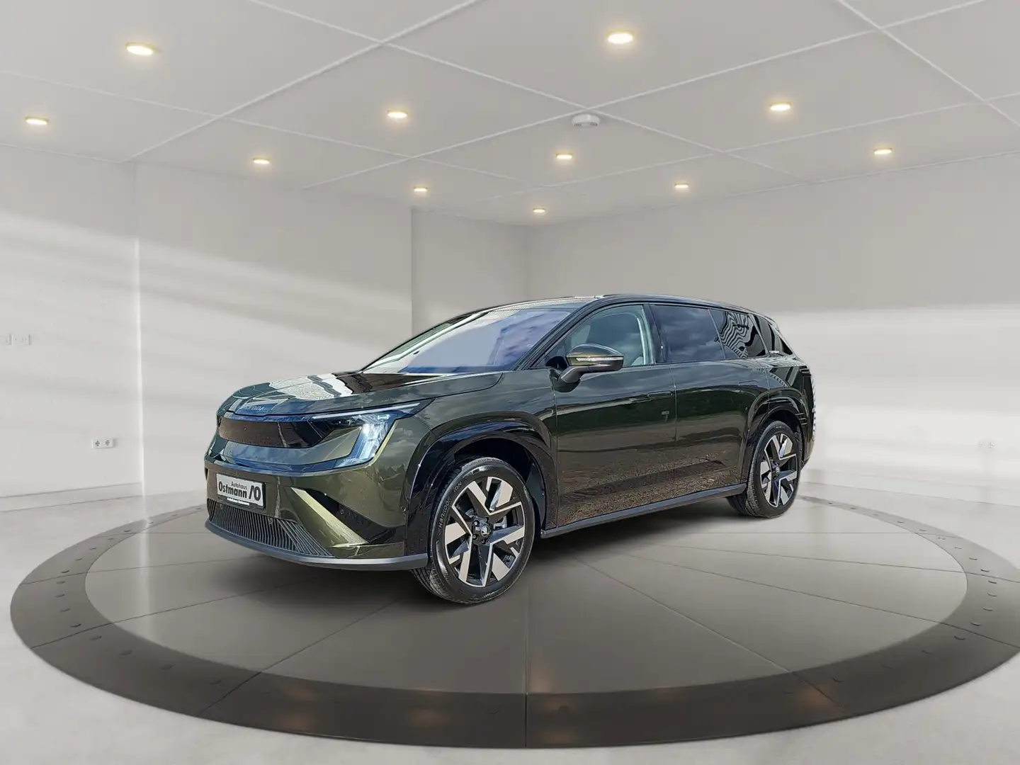 Skoda Peaq Selection 90 (91 kWh) AHK MATRIX 360° Grün - 1