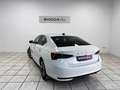 Skoda Octavia 2.0TDI Plus 85kW Blanco - thumbnail 2