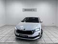 Skoda Octavia 2.0TDI Plus 85kW Blanco - thumbnail 11