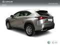 Lexus NX 300 300h Business Navigation 2WD Gris - thumbnail 2
