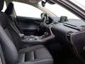 Lexus NX 300 300h Business Navigation 2WD Gris - thumbnail 6