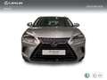 Lexus NX 300 300h Business Navigation 2WD Gris - thumbnail 5