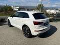 Audi Q5 40 2.0 tdi mhev 12V quattro s-tronic Weiß - thumbnail 3