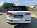 Audi Q5 40 2.0 tdi mhev 12V quattro s-tronic Weiß - thumbnail 4