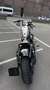 Harley-Davidson 1200 Custom FORTY-EIGHT CRUISER Beżowy - thumbnail 4